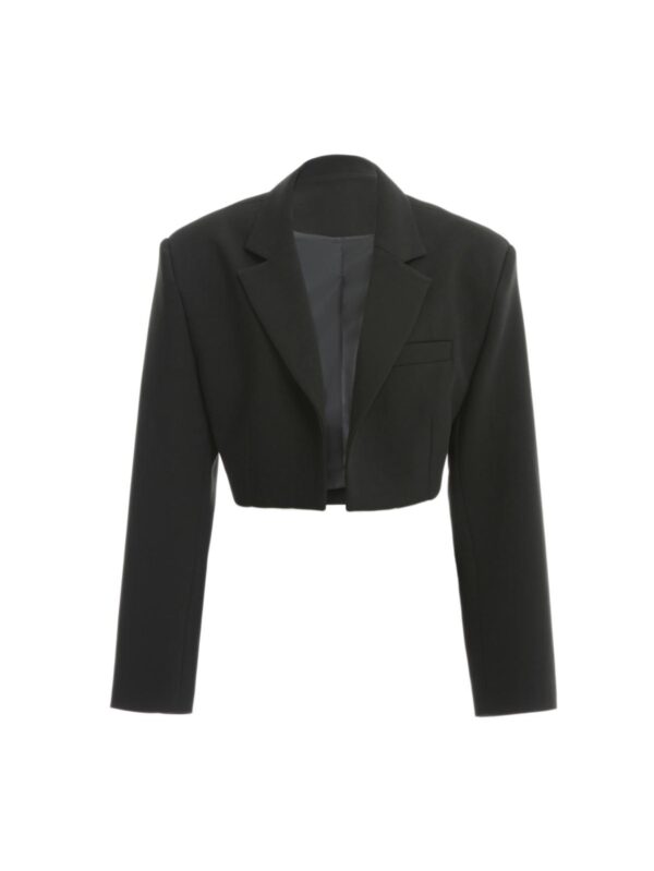 Siyah Kısa Crop Blazer Ceket